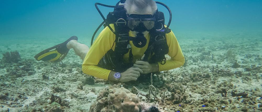 Hannes Jaenicke beim Tauchen in Indonesien mit einer Großen Blauen Krake (Day Octopus) im Vordergrund. 