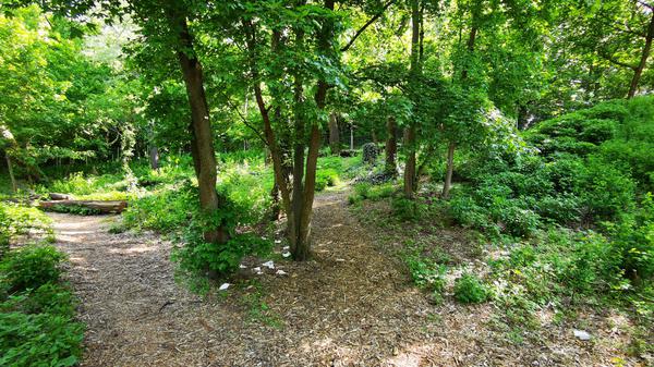 Die Gay Cruising Area im Volkspark Friedrichshain.