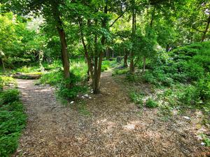 Die Gay Cruising Area im Volkspark Friedrichshain.