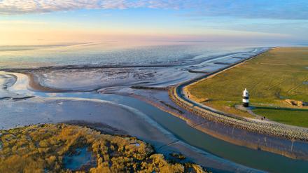 Noch nie war die Nordsee so warm wie im vergangenen Sommer. Doch ihre biologische Vielfalt verändert sich nicht nur wegen des Klimawandels, sondern auch wegen des Klimaschutzes.