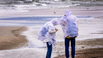 Sturmböen sorgen in Norddeutschland für einzelne Sperrungen und Ausfälle – größere Schäden bleiben aus.