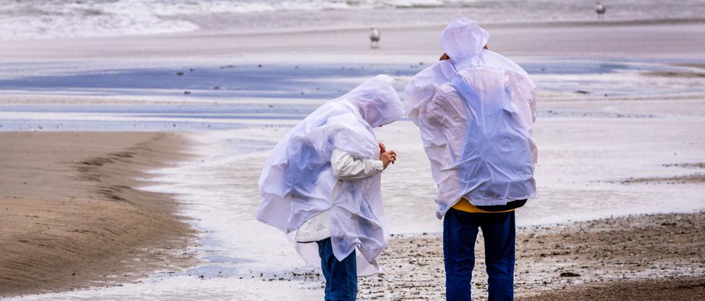 Sturmböen sorgen in Norddeutschland für einzelne Sperrungen und Ausfälle – größere Schäden bleiben aus.