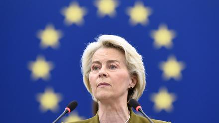 Von der Leyens Kommission muss sich Misstrauensanträgen stellen. (Archivbild)  