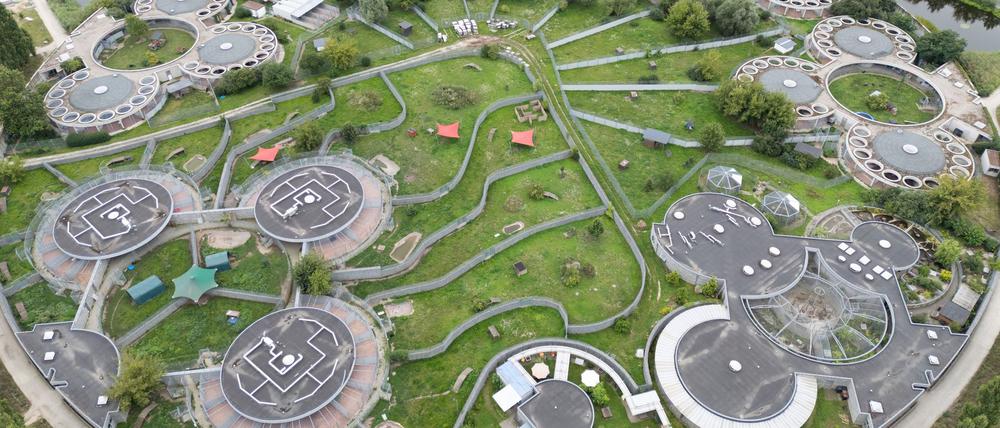 Im Dezember 2024 gab es schon mal einen Ausbruch der Krankheit im Berliner Tierheim. (Archivbild)