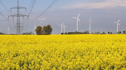 Windräder und Strommasten stehen an einem Feld mit blühendem Raps.
