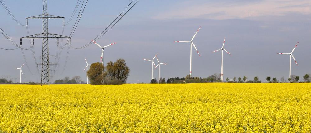 Windräder und Strommasten stehen an einem Feld mit blühendem Raps.