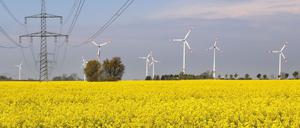 Windräder und Strommasten stehen an einem Feld mit blühendem Raps.