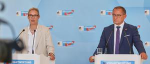Alice Weidel und Tino Chrupalla beim Pressestatement.