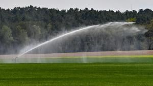 Brandenburg leidet immer wieder unter Trockenheit, vielerorts müssen die Felder wie hier auf dem Foto künstlich bewässert werden. 