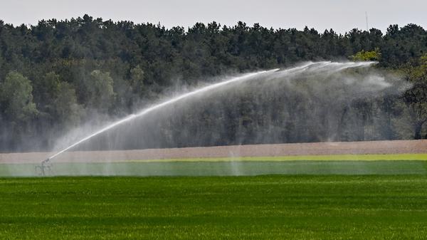 Brandenburg leidet immer wieder unter Trockenheit, vielerorts müssen die Felder wie hier auf dem Foto künstlich bewässert werden. 