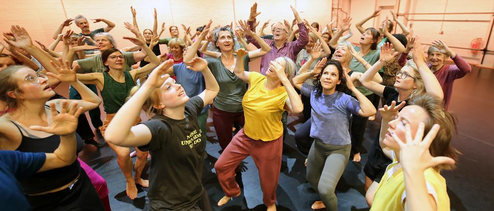 Zum Saisonauftakt bringt Choreografin Patricia Carolin Mai in der fabrik Menschen aus Potsdam gemeinsam zum Tanzen. Am Ende zeigen sie das Stück „Hamonim“.