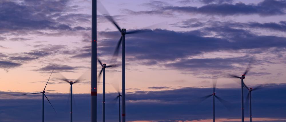Der Ausbau der erneuerbaren Energien mit dem Bau von Windkraftanlagen löst auch Proteste aus. (Symbolbild)