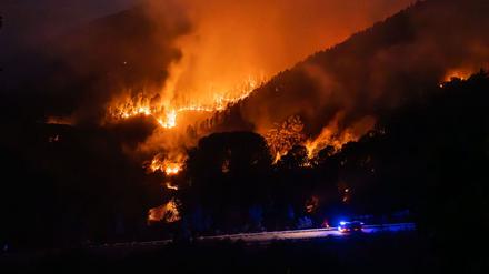 Waldbrände verursachen hohe Kohlenstoff-Emissionen. (Archivbild)