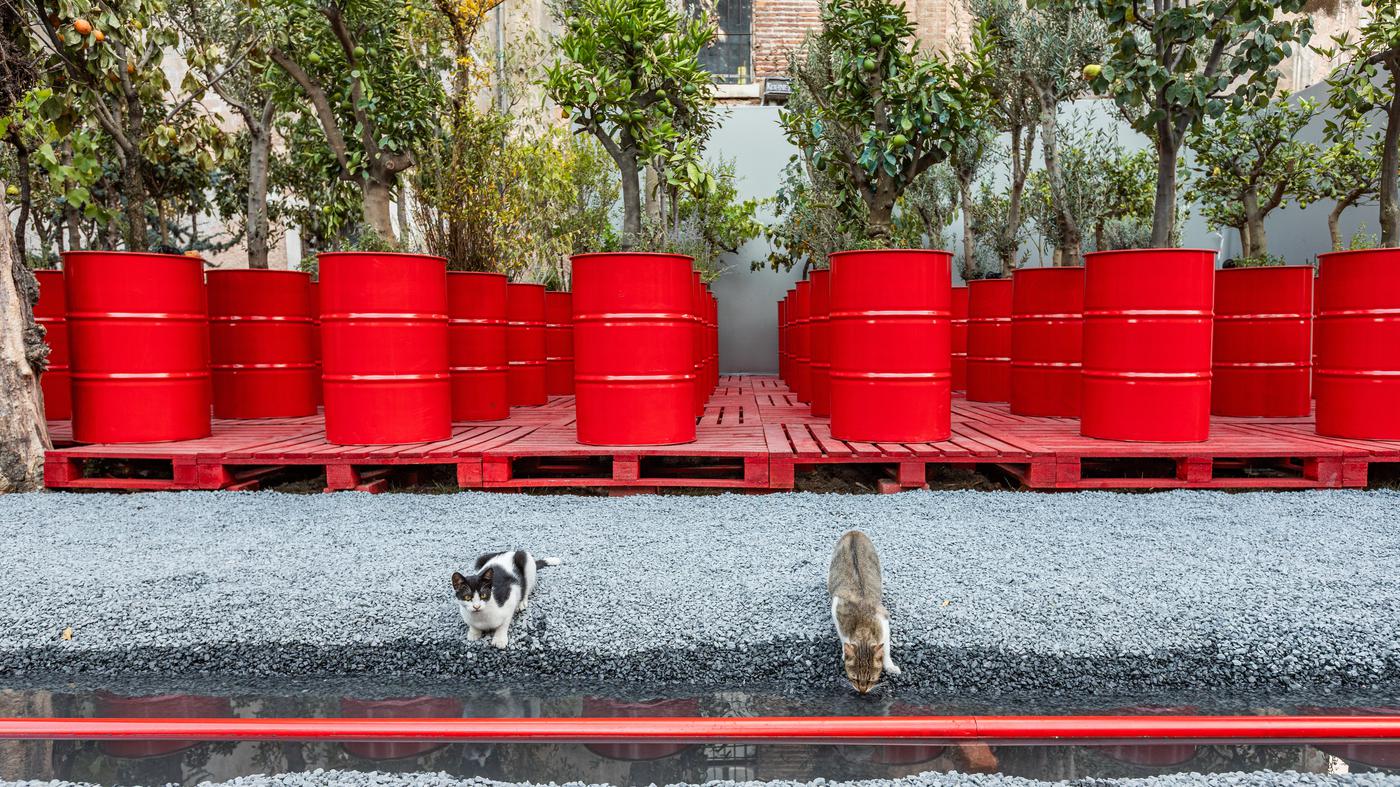 Kunstbiennale-in-Istanbul-er-ffnet-unter-politischem-Druck-Die-Kuratorin-lacht-und-weint