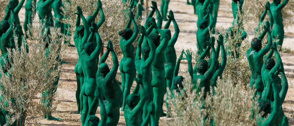 Intensives Grün: Spencer Tunicks erste Kunstinstallation in Andalusien.