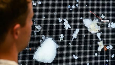 Besonders kleine Partikel können in Zellen eindringen und dort Reaktionen auslösen. Diese Nanopartikel kommen beispielsweise in Kosmetika vor.