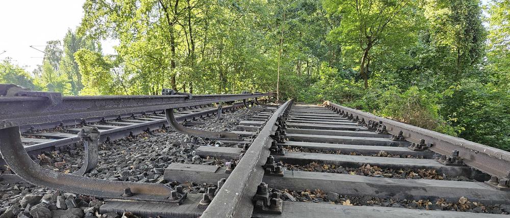 Unter der Rudolf-Wissell-Brücke zweigt die Siemensbahn ab. Seit 1980 wachsen hier Bäume.
