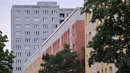 Blick auf zwei Wohnblocks im Patrizierweg im Potsdamer Stadtteil Stern.