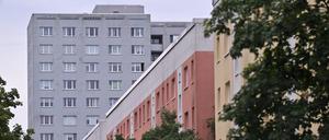 Blick auf zwei Wohnblocks im Patrizierweg im Potsdamer Stadtteil Stern.