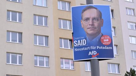 Ob-Wahl in Potsdam. Im Süden der Stadt konnte die AfD einige Wahlkreise gewinnen. Stadtweit landete ihr Kandidat Uwe-Chaled Said auf Platz fünf.