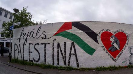 Schriftzug Freiheit für Palästina an einer Wand in der Innenstadt der isländischen Hauptstadt Reykjavik.