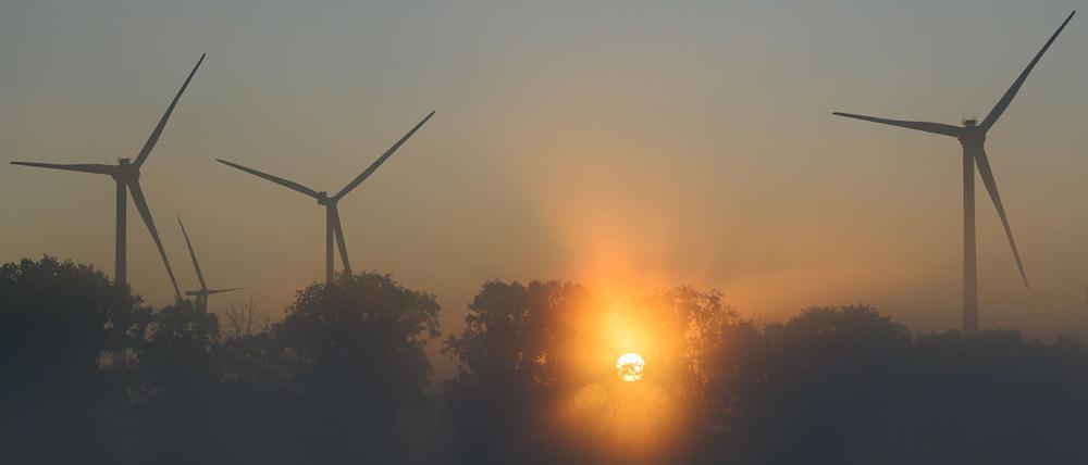 Am frühen Morgen ist es noch kühl in Berlin und Brandenburg. (Archivbild)