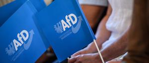 Laut einer Umfrage spricht sich die Mehrheit der Brandenburgerinnen und Brandenburger gegen eine Regierungsbeteiligung der AfD aus (Archivbild).