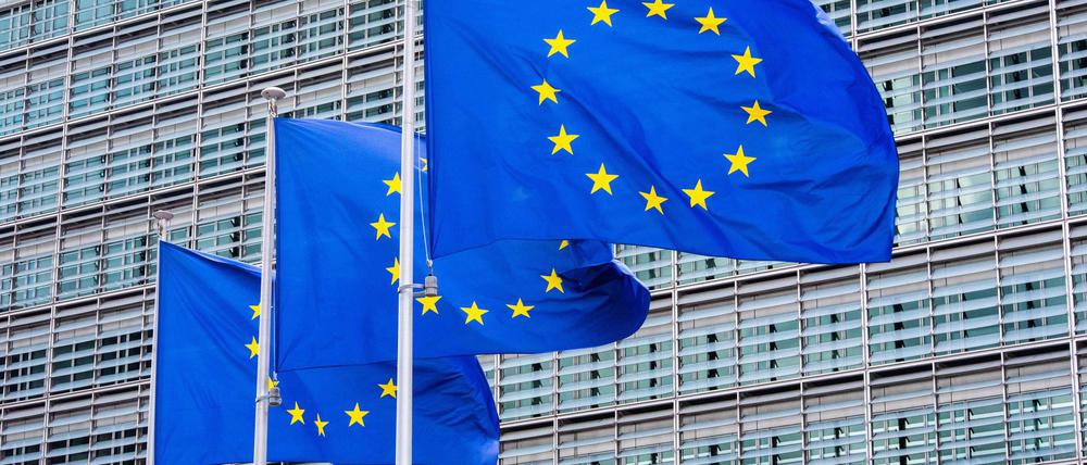 Die EU-Kommission verlang von vier großen Online-Plattformen Auskünfte. (Symbolbild)