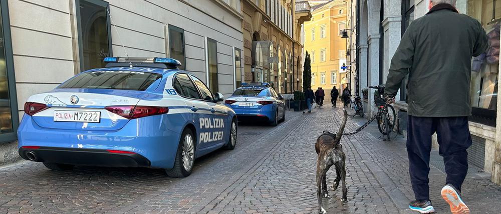 Südtirol will künftig von Hundehaltern eine Art Kurtaxe für ihre Vierbeiner verlangen. (Symbolbild)