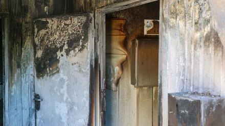 Die Beeinträchtigungen im Zugverkehr halten nach dem Brand des Stellwerks in Gerwisch bei Magdeburg an.