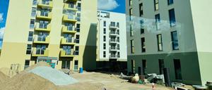 Bezirkstour des Senats nach Berlin Spandau - hier: Insel Gartenfeld 