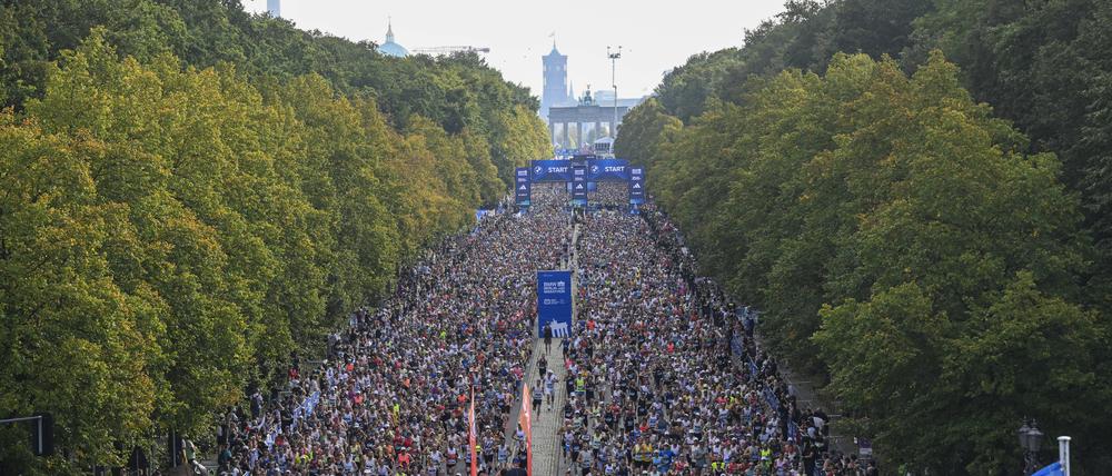 Der Berlin-Marathon ist nun eine Woche her. 
