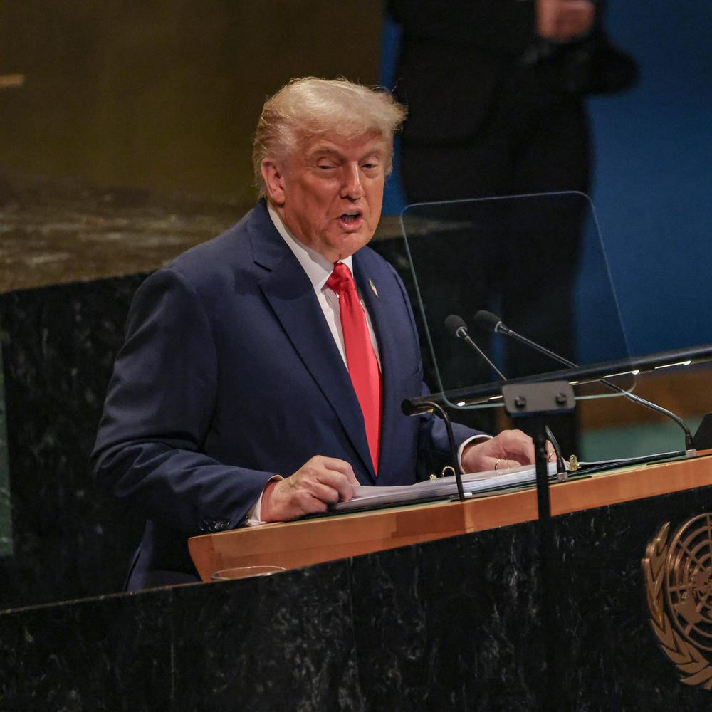 Kriege, Kohle, Klima: Sieben Lügen und Übertreibungen in Trumps UN-Rede im  Faktencheck