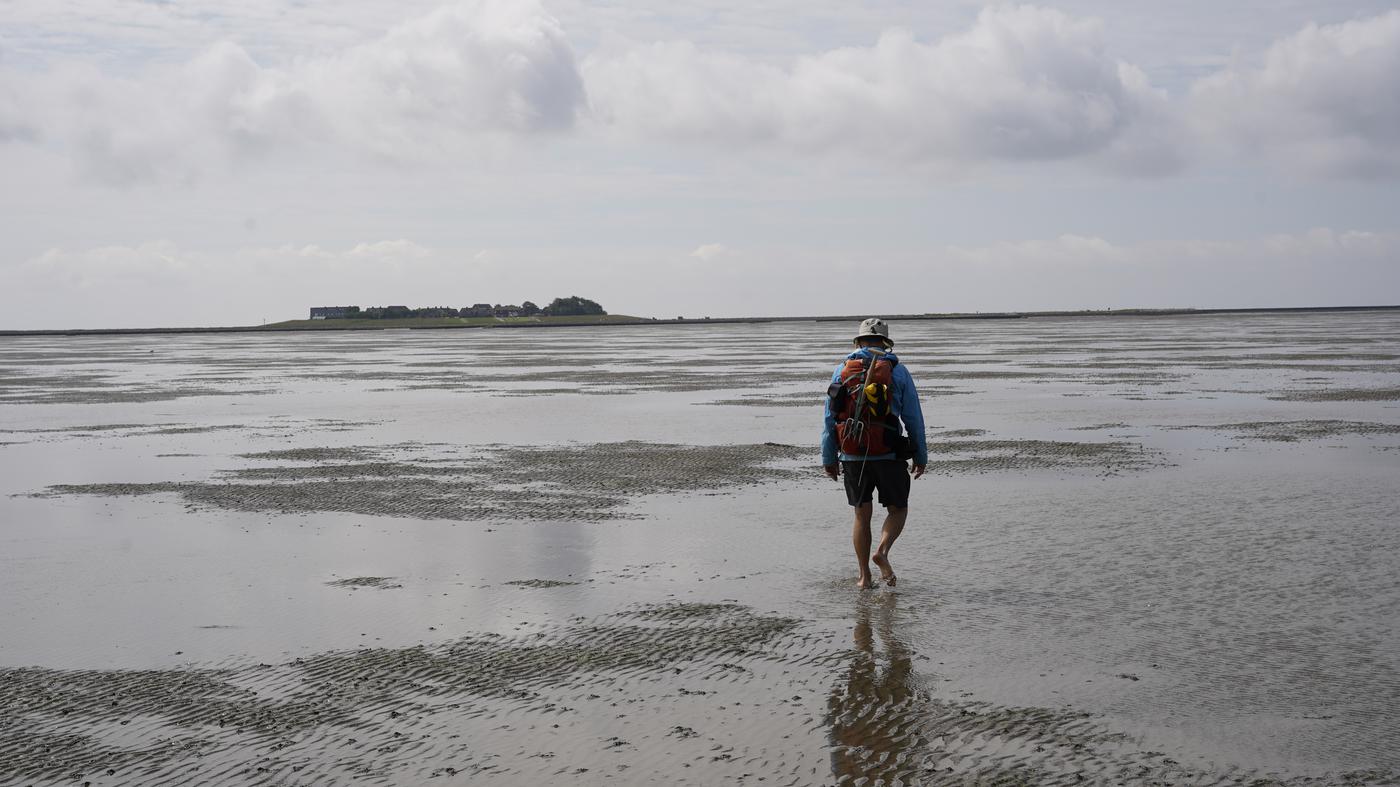 Halligenwanderung-an-der-Nordsee-Endlich-Watt-sehen