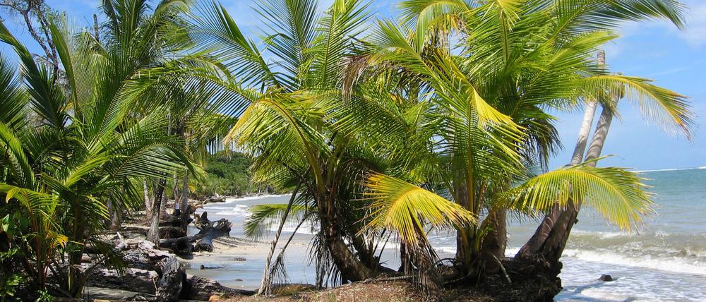 Der Fund zweier Leichen auf dem Grundstück eines deutschen Paares in Costa Rica gibt Rätsel auf. (Archivbild)