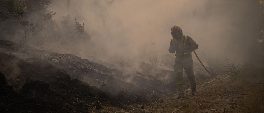 In Portugal wurde eine Fläche so groß wie das Saarland von den Flammen zerstört. (Archivbild)