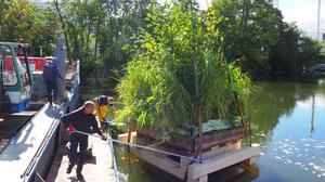 Berliner Biotop-Projekt für bessere Wasserqualität: Eine künstliche Insel wird in den Maselake-Kanal in Berlin-Spandau gelassen.