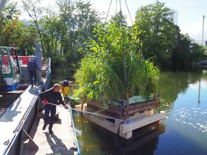 Berliner Biotop-Projekt für bessere Wasserqualität: Eine künstliche Insel wird in den Maselake-Kanal in Berlin-Spandau gelassen.