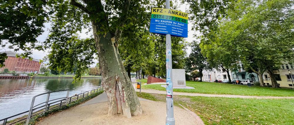 Illegale Kfz-Werbung am Altstadtufer Lindenufer in Berlin Spandau   