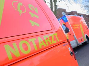 Ein Notarzt-Fahrzeug und ein Rettungswagen stehen an einer Einsatzstelle. (Symbolbild)