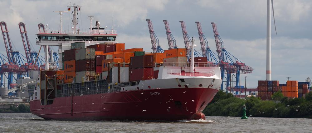 Möwen fliegen vor einem Containerschiff im Hamburger Hafen her.
