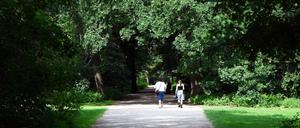Berlin: Menschen gehen unter grünen Bäumen bei sonnigem Wetter durch den Großen Tiergarten. 
