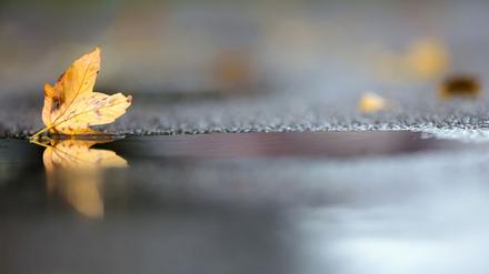 Noch hält sich die herbstliche Zweiteilung beim Wetter in Deutschland. (Archivbild)