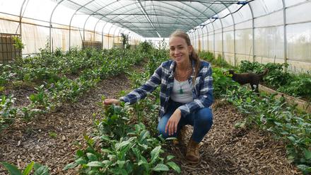 Antje Kühnle plant die Schünow (Zossen) Deutschlands größte Teefarm, Growing Karma.
