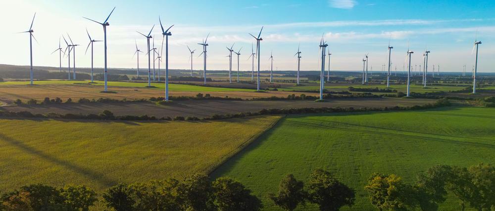 Der Brandenburger Landtag will einen „Wildwuchs“ beim Ausbau der Windkraftanlagen verhindern (Archivbild).