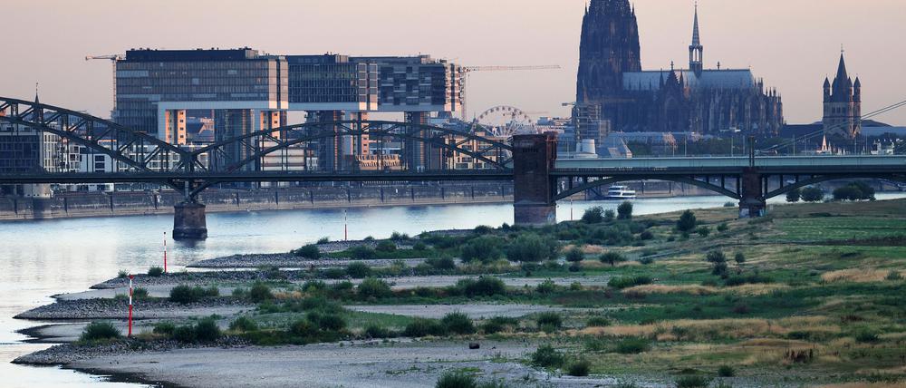 Köln wählt am Sonntag einen neuen Oberbürgermeister bzw. eine neue Oberbürgermeisterin. (Archivbild)