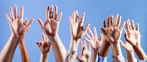 Finger und Zehen verdanken Menschen und alle anderen Säugetiere dem Hinterteil von Fischen. 