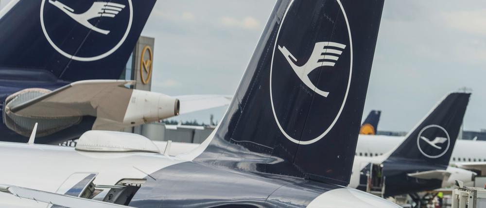 Die Lufthansa will mit einem umfangreichen Stellenabbau in der Verwaltung Kosten sparen (Symbolbild).