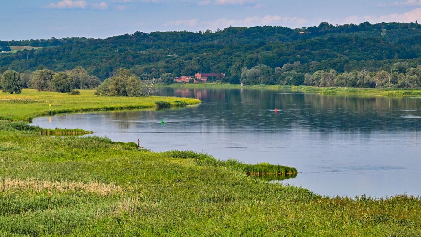 Auenlandschaft-Polen-gr-ndet-eigenen-Nationalpark-Unteres-Odertal