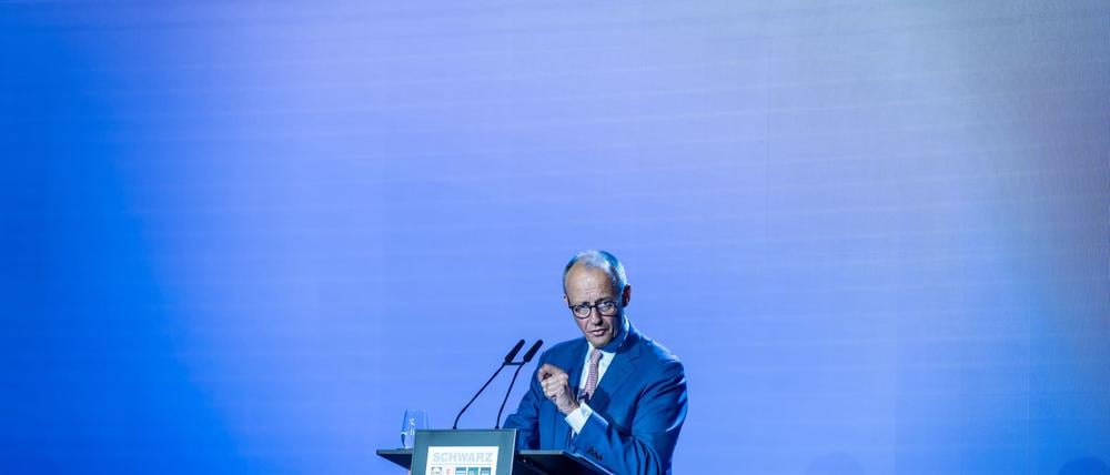 Merz positioniert sich nun deutlich gegen das Verbrenner-Aus.